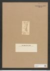 Amphiprora diadema O'Meara (de-Toni-Nr.: Genus 29, Species 1345) Zeichnungen Sammlung Grunow Nr. 2570 (NHMW-BOT-W0369755)